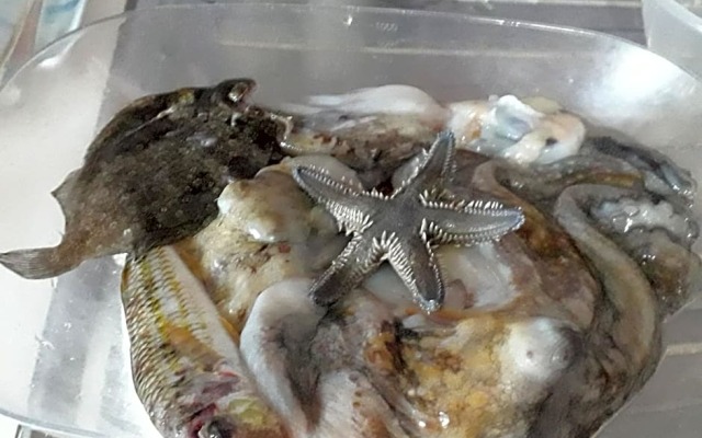 ResidenceU ZU GNAZIU