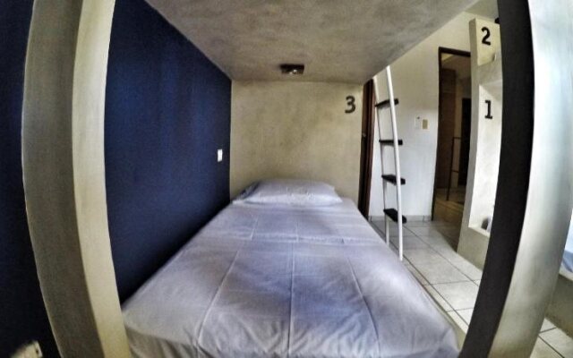 Lobo de Mar Hostel Playa del Carmen