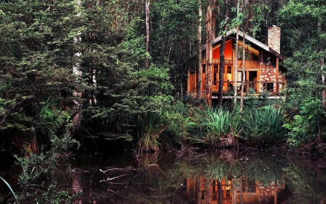 Woodlands Rainforest Retreat