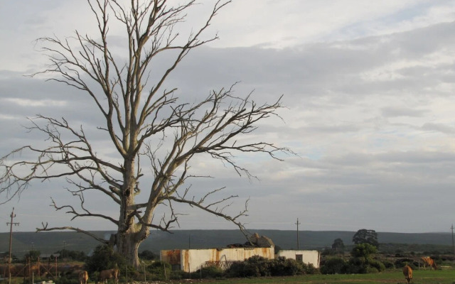 A Farm Story Country House