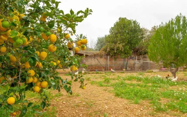 Villa Es Pla