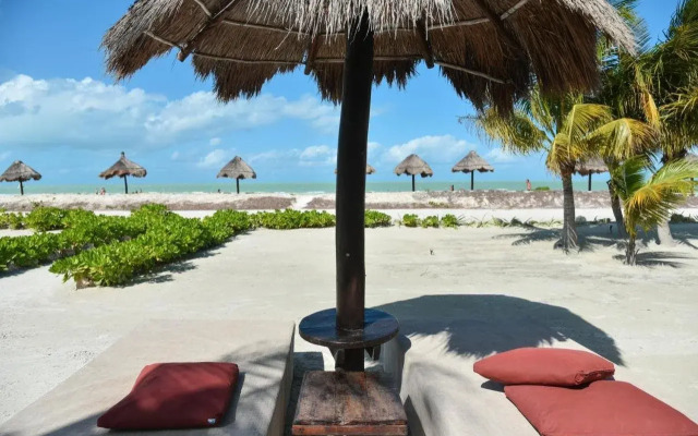 Blue Holbox Beach Front