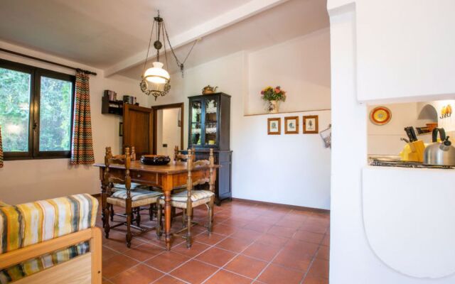 Bardeggiano - Caterina 7 (COL240)