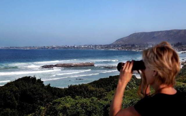 Вилла Hermanus Beach