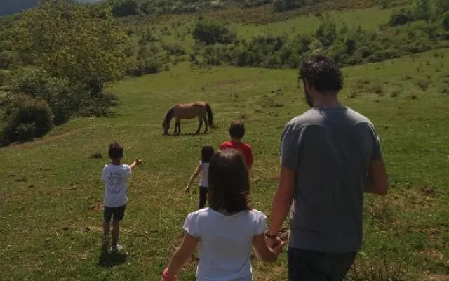 Casa Petra y Armando