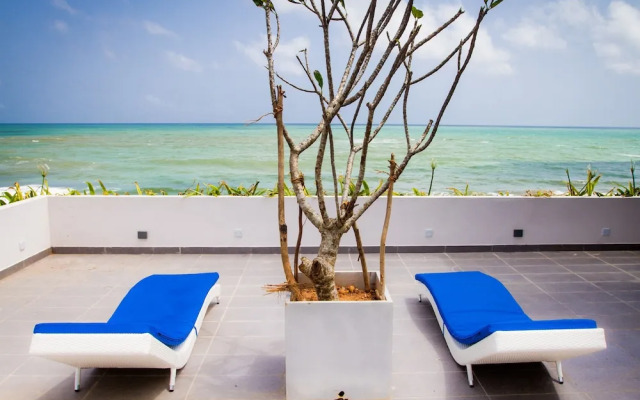 Lazy Koala Hostel - Adults Only