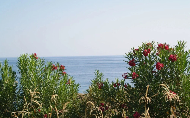 Bungalow Musuri