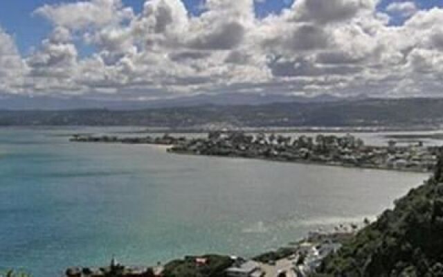Knysna Backpackers