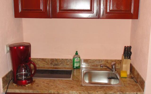 Apartment Pucurica II