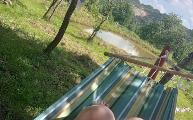 Room in Guest Room - Rural Holiday Transylvania