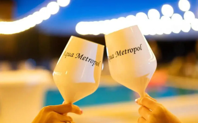 Vila Metropol