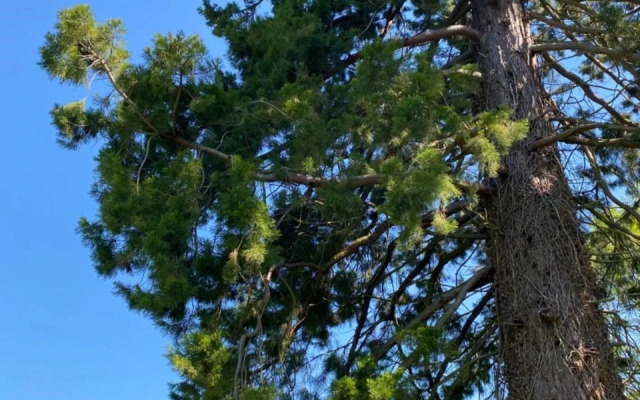 Domaine de Vadancourt