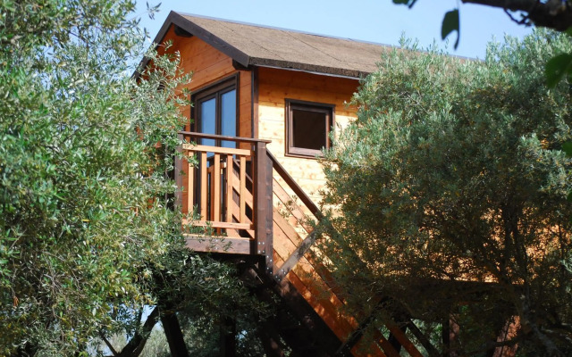 Palazzo Conforti Tree House Resort