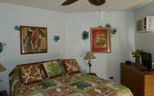 Maui Sunset B204 1 Bedroom Condo by RedAwning