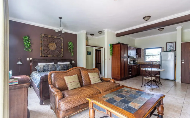 Garden Studio, Ocean Dream