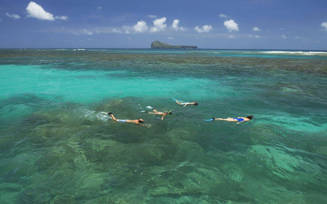 Lagoon Attitude - Adults Only