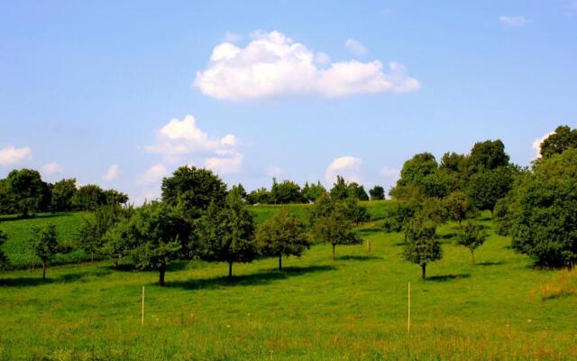 Apartment Bodensee mit 4 Zimmern und Sonnenterrasse