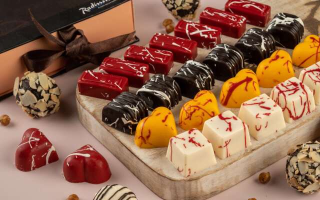 Radisson Blu Plaza Delhi Airport