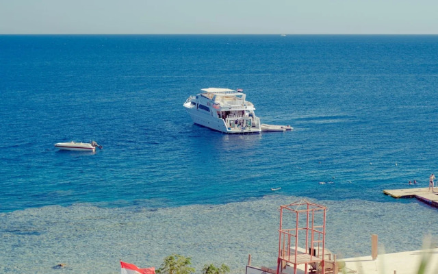 Sharks Bay Hotel & Padi Butterfly