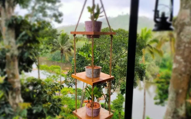 Noah's Nest Tree House