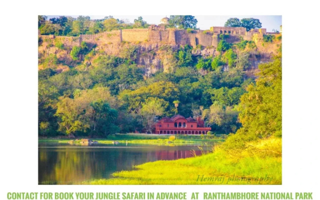 Ranthambore Tiger Home
