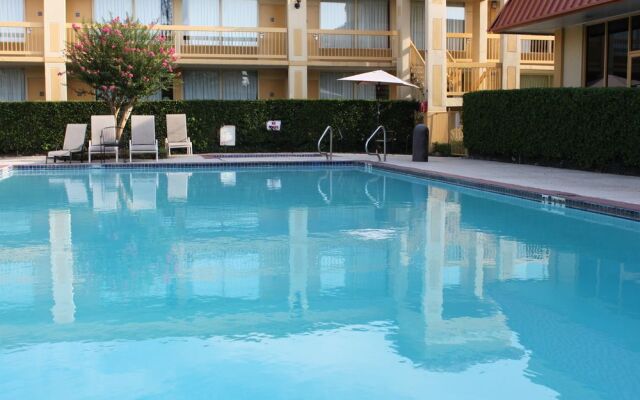 Hotel Elev8