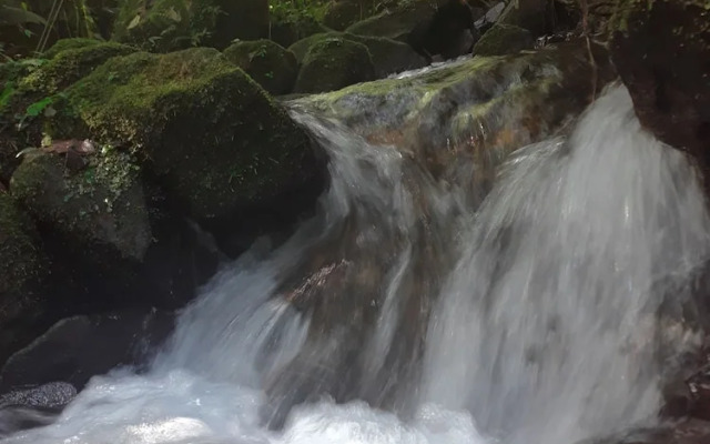 Rio Celeste Family Lodge