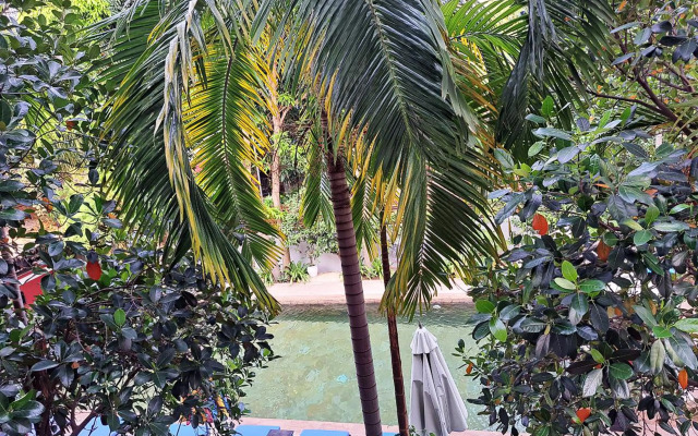 The Golden Gecko Villa