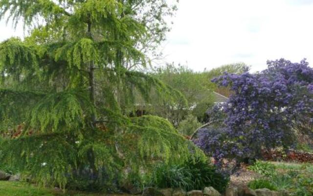 Wisteria Lodge Bed and Breakfast
