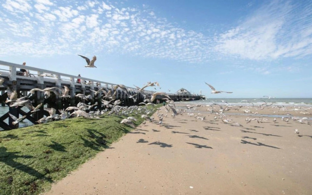 Apartment in Blankenberge Near Centre