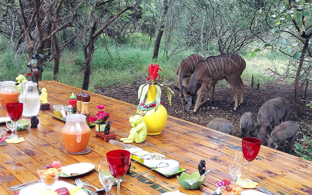 Wielewaal Bush Lodge