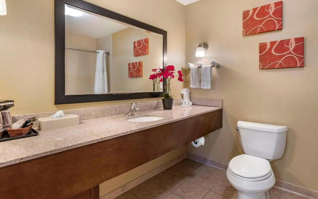 Comfort Suites Urbana Champaign, University Area