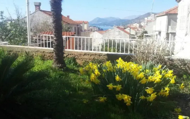 Guest House Saluto
