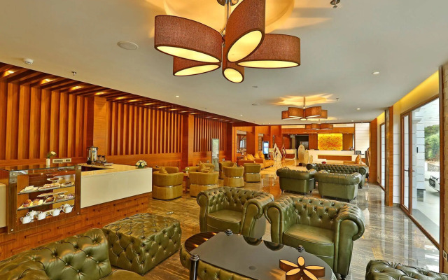 Plum Judy - The Leisure Hotel