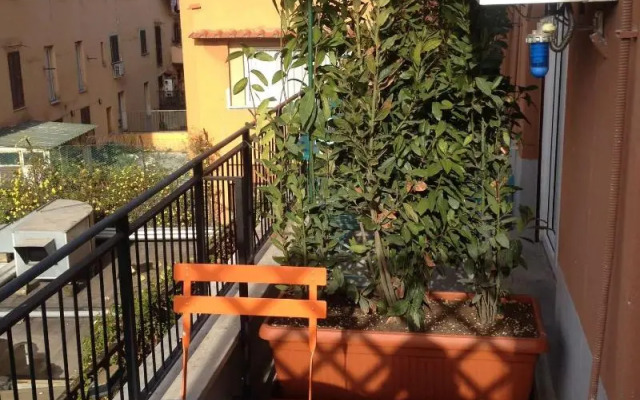 Bed and Breakfast New Morning