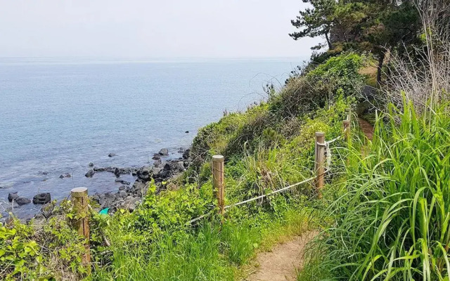 Jeju 20 Young Guest House