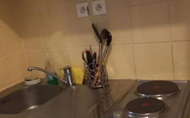 Le Voyageur à Terre-Sainte, Saint-Pierre