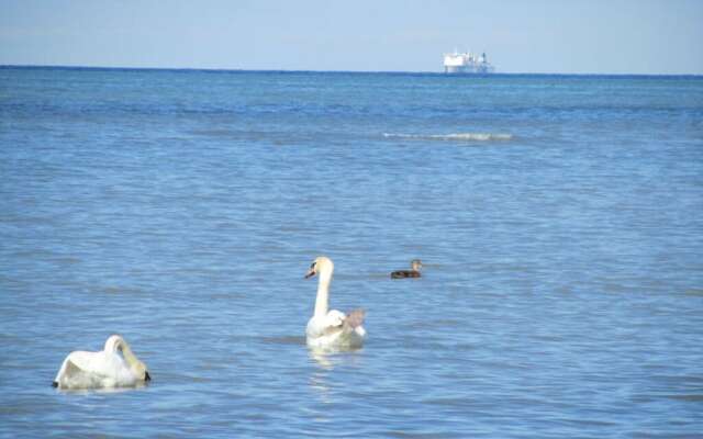 Bolliger 2 Modern Retreat