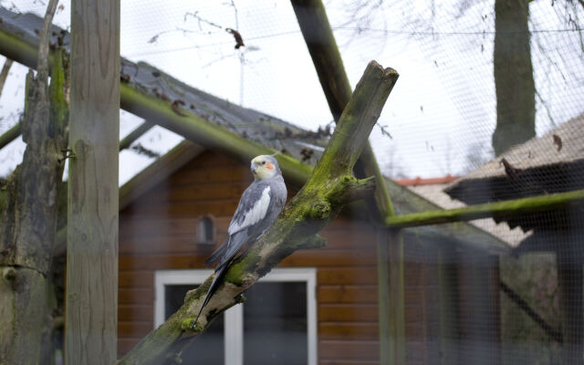 Veluwe Hotel de Beyaerd