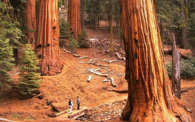 Yosemite's Blue Bird Ranch