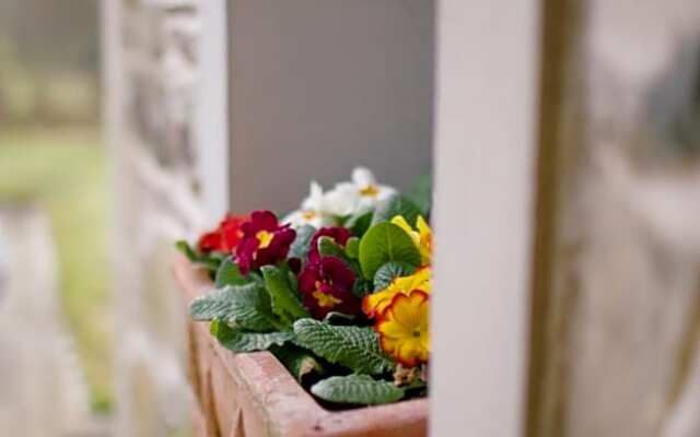 Scion Hill Gate Lodge