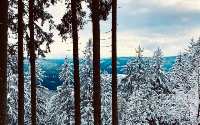 Schwarzwaldhotel Oberwiesenhof