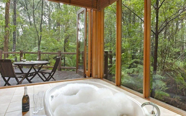 Woodlands Rainforest Retreat