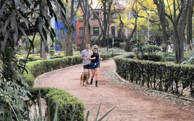Condesa Residence Campeche 276