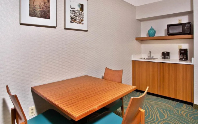 SpringHill Suites by Marriott Chicago Southwest at Burr Ridge/Hinsdale