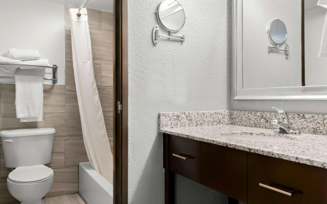 Best Western Plus Flint Airport Inn & Suites