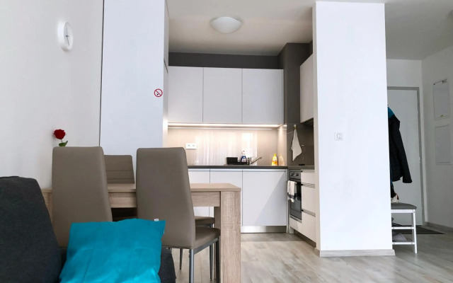 House of Beer - Stein