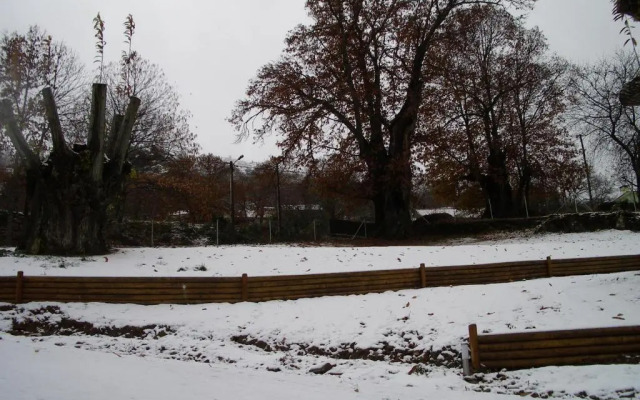 Quinta Dos Castanheiros - Turismo Rural
