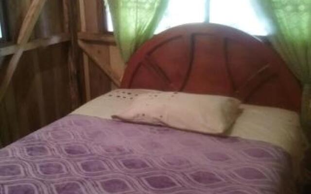 Pacto Retreat Hostel