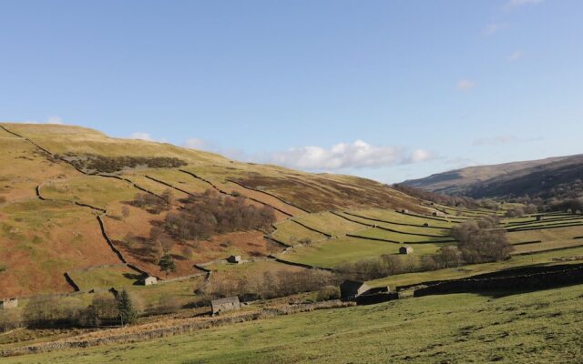 Meadow View